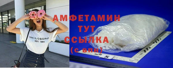 СК Новозыбков