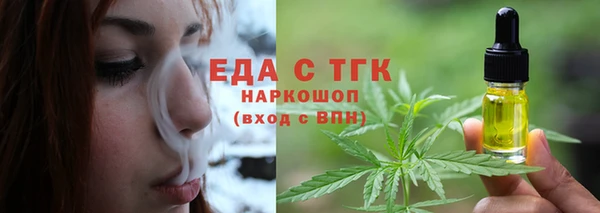 СК Новозыбков