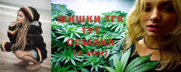 СК Новозыбков