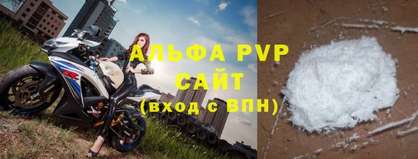 СК Новозыбков