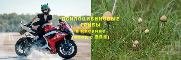 СК Новозыбков