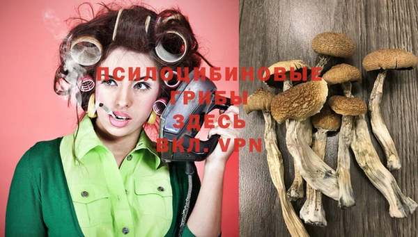 кокс Новодвинск
