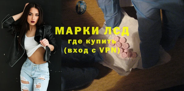 СК Новозыбков