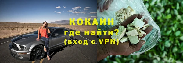 СК Новозыбков