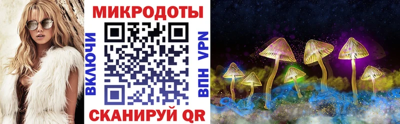 купить наркотики цена  Хилок  Псилоцибиновые грибы ЛСД 